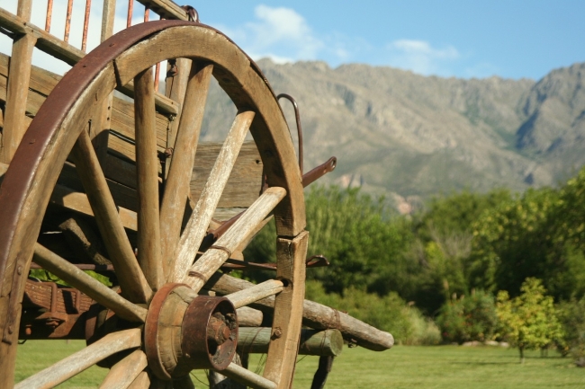 MERLO San Luis VERANO