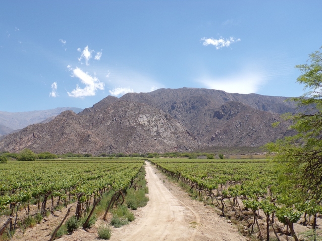 SALTA Finde largo!