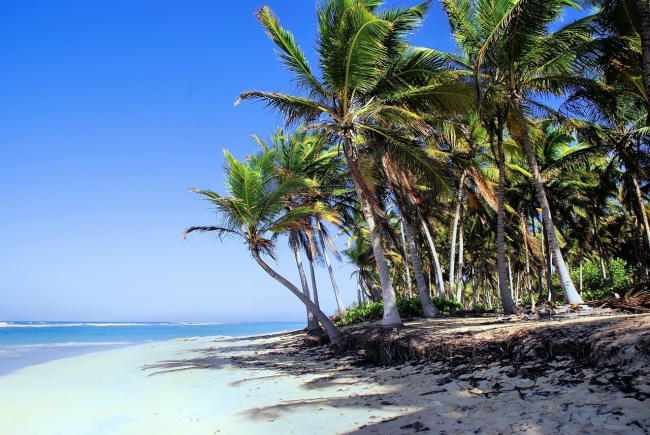 BAYAHIBE en Promo!!!