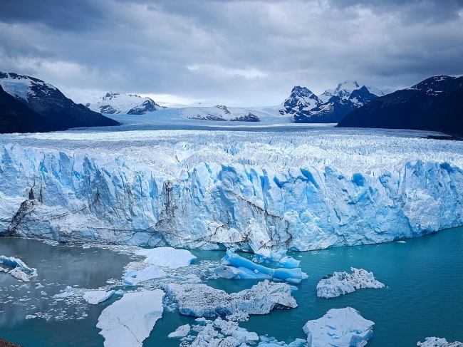 EL CALAFATE en Promo!