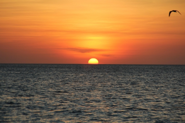 ARUBA Verano 2026
