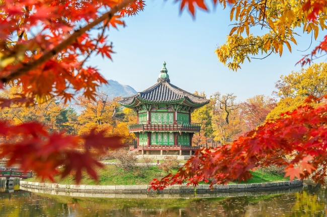JAPON y COREA