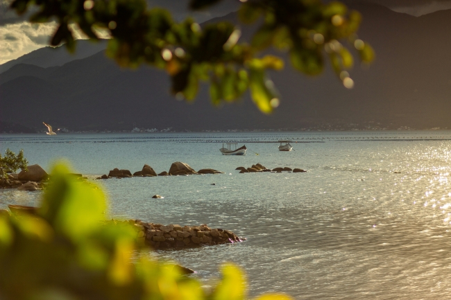 FLORIANOPOLIS