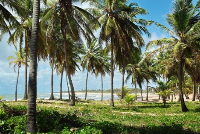 COSTA DO SAUIPE VACACIONES DE INVIERNO 