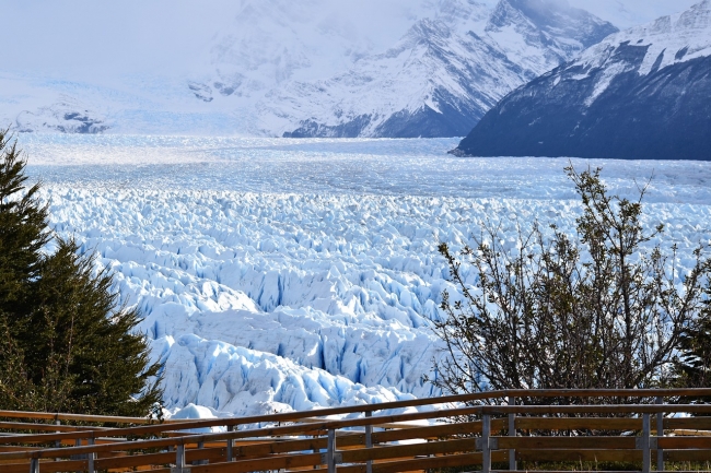 EL CALAFATE en Promo!
