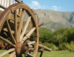 MERLO San Luis VERANO