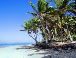 PUNTA CANA en Promo!!!