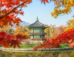 JAPON y COREA