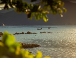 FLORIANOPOLIS