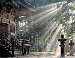 Salida Grupal Malasia, Singapur y Bali  Junio 