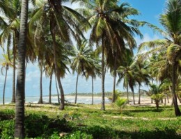 COSTA DO SAUIPE VACACIONES DE INVIERNO 